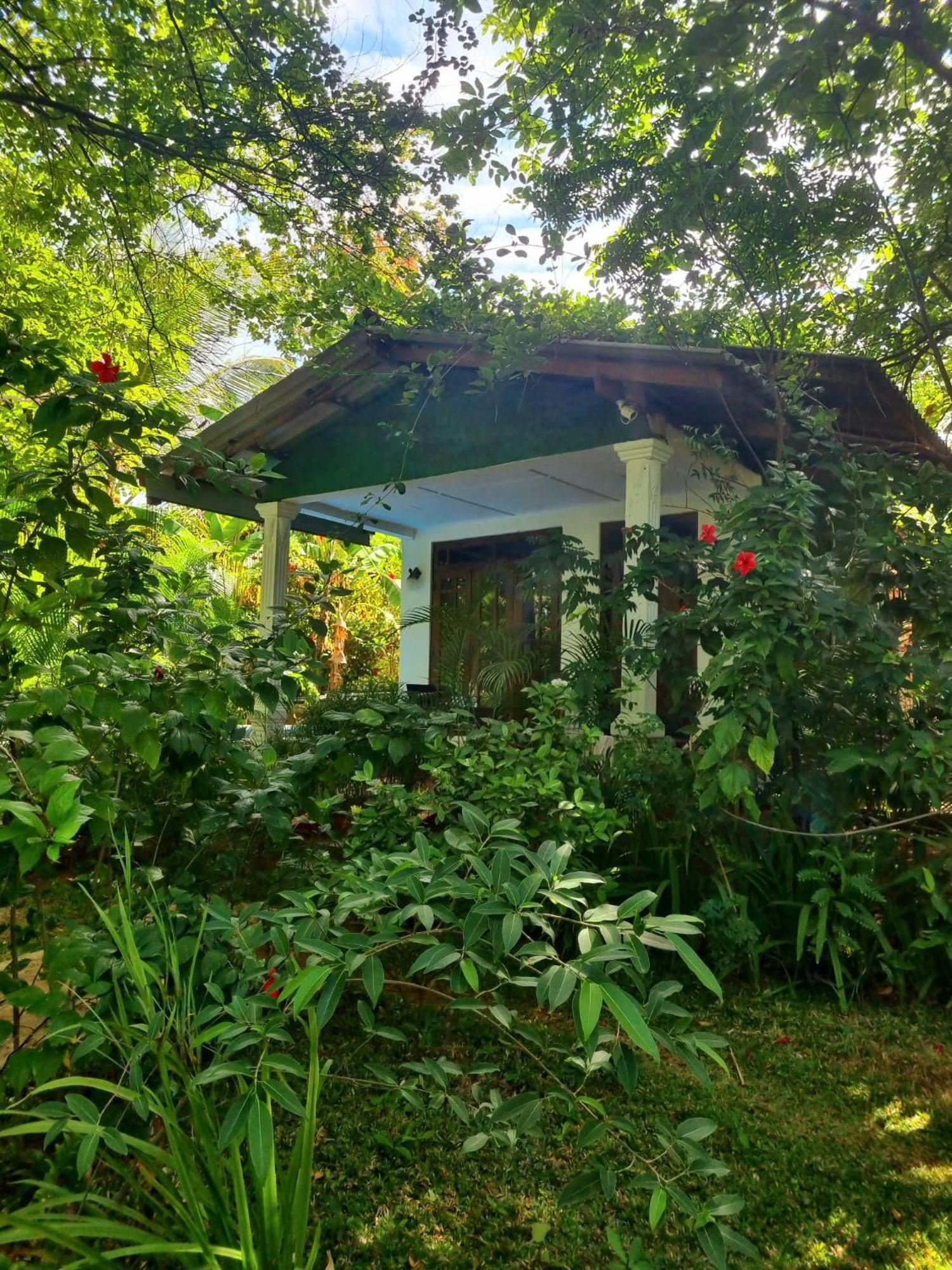 Sunrise Cottage Sigiriya Dış mekan fotoğraf
